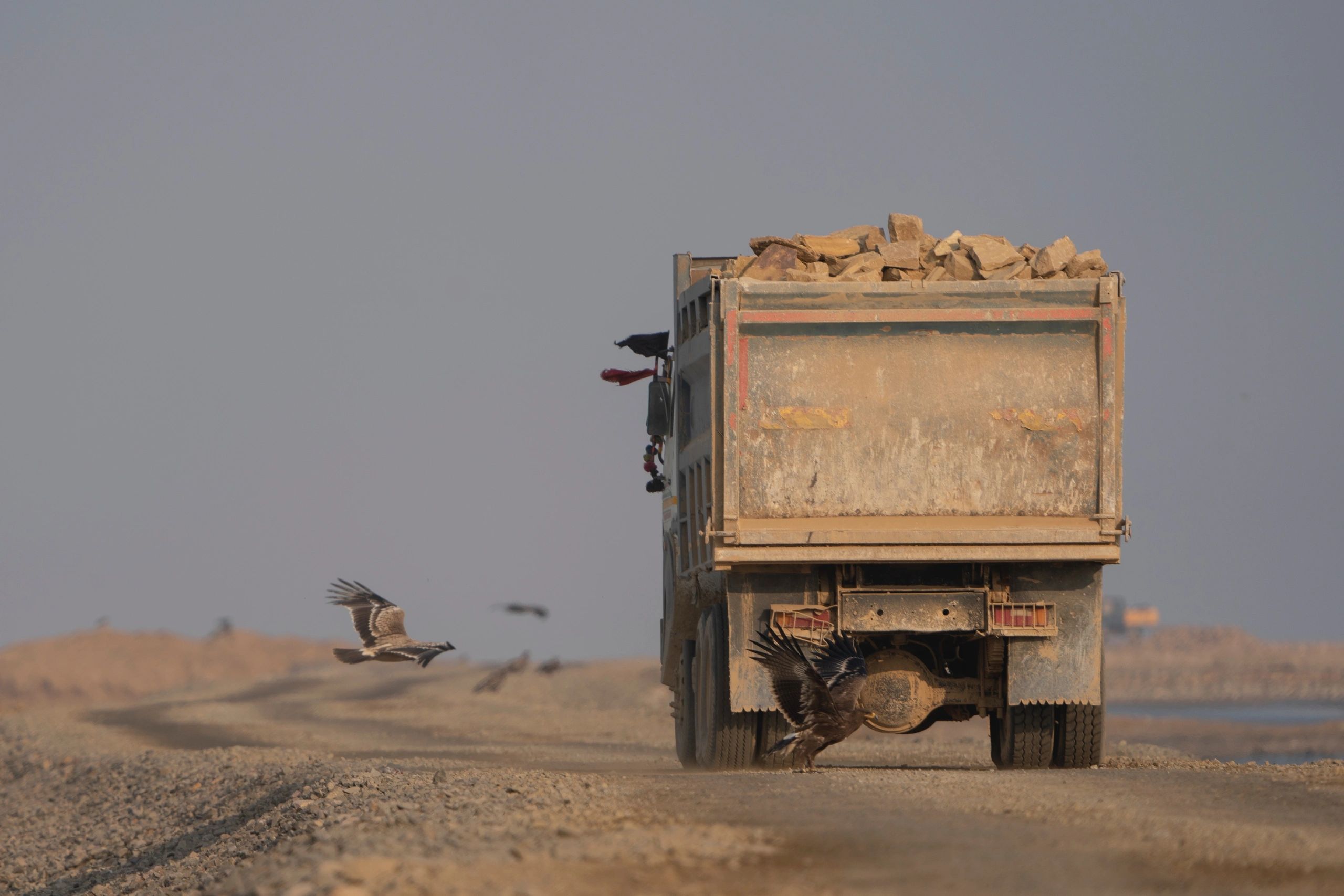 modern logistics transport truck Gujarat